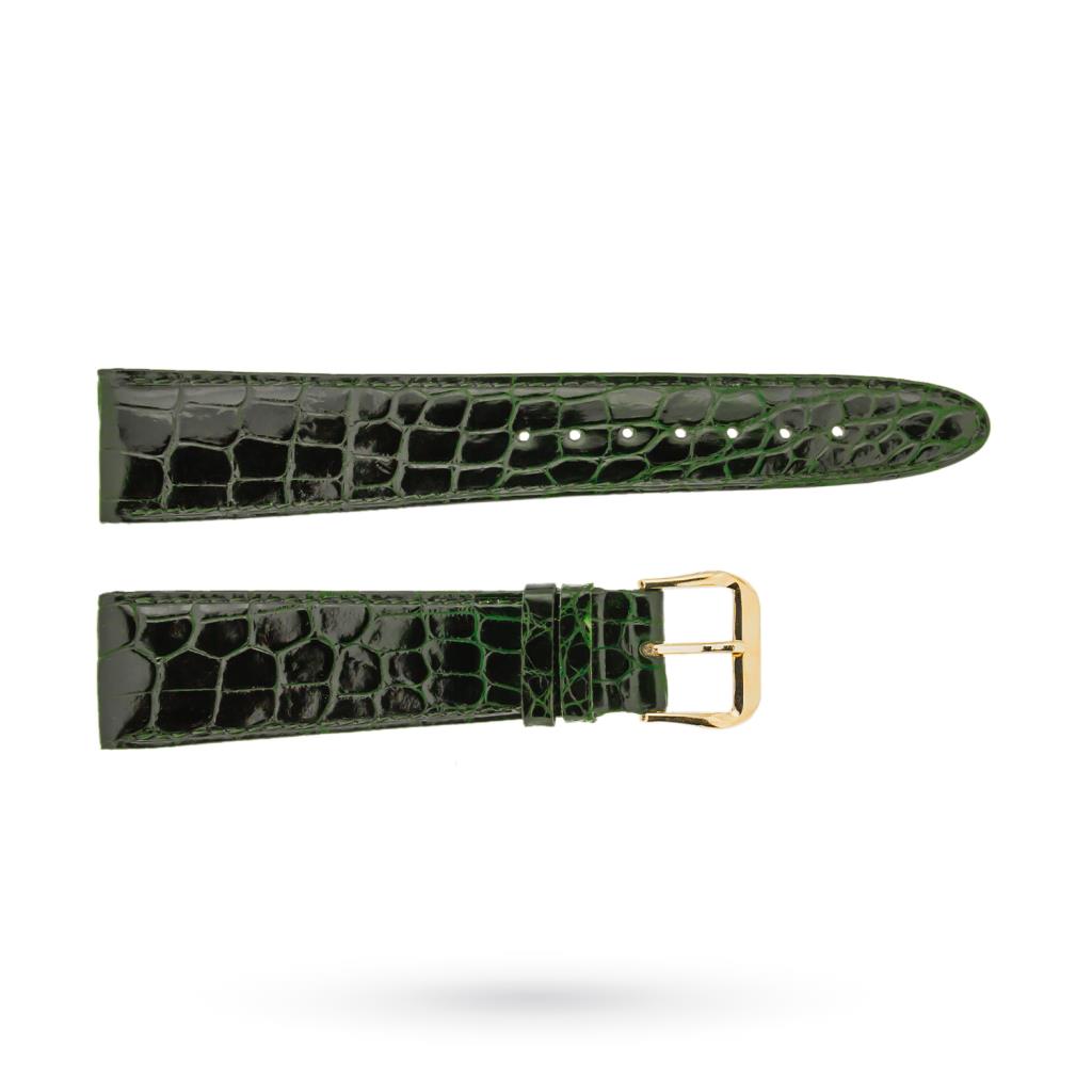 Cinturino coccodrillo baby verde lucido 20-16mm fibbia dorata - BROS