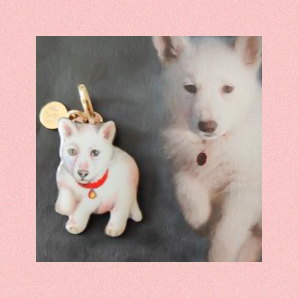  Ciondolo personalizzato animale domestico smalto a mano - GABRIELLA RIVALTA